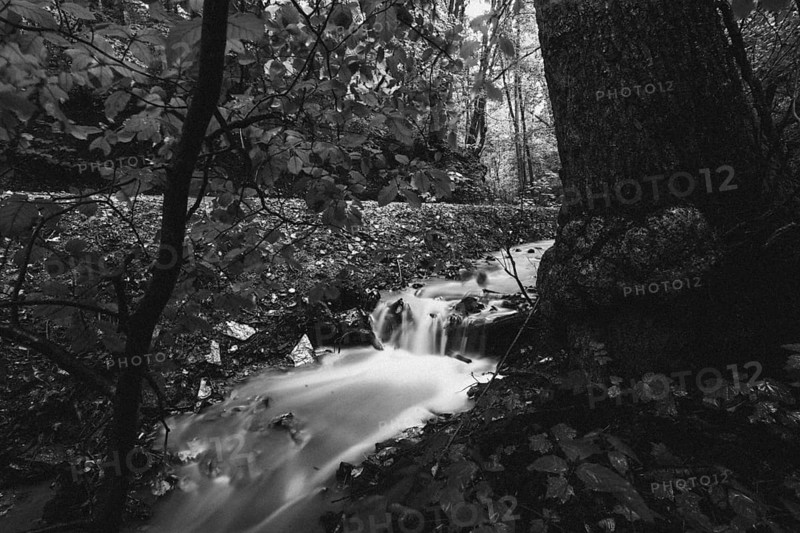 River in the forest, captured in black and white, emphasises the movement of the water. Koblenz, Rhineland Palatinate Germany