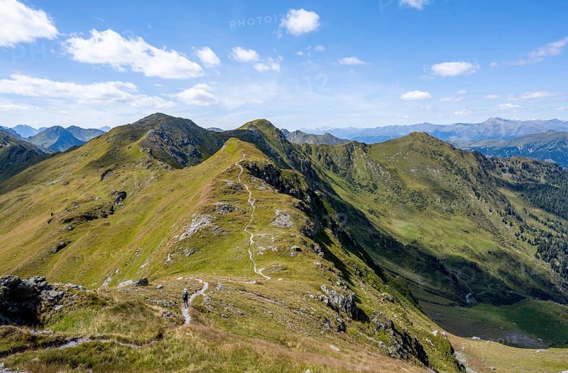 Hiking trail along a grassy mountain ridge, idyllic mountain landscape with green mountain meadows, Carnic High Trail, Carnic Main Ridge, Carnic Alps, Carinthia, Austria, Europe