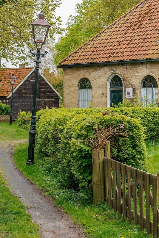 A house with a tiled roof and lamppost along a path, surrounded by green hedges, old houses with green gardens in a small village, nes, ameland, the netherlands