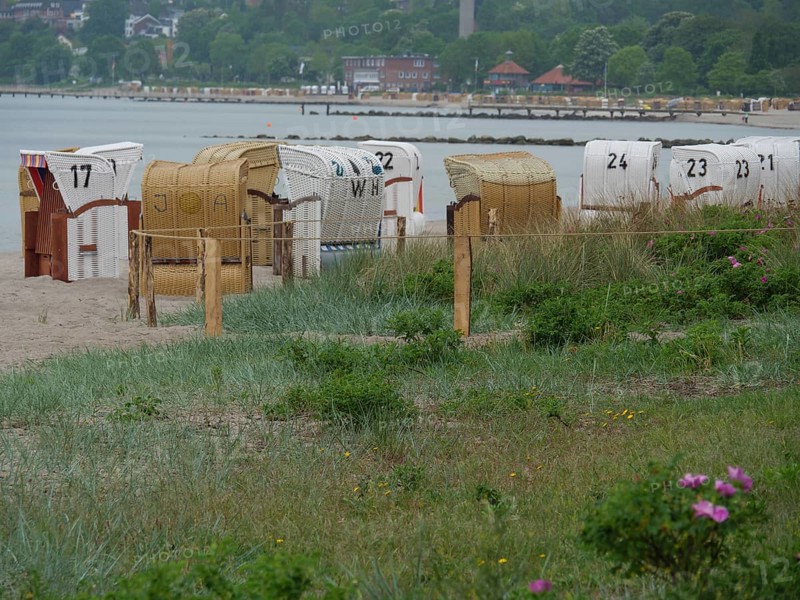 Several beach chairs on a sandy beach with dense vegetation in the foreground and a hilly coastal landscape in the background, beach chairs on a quiet sandy beach by the sea, clouds over the sea, Eckernfoerde, germany