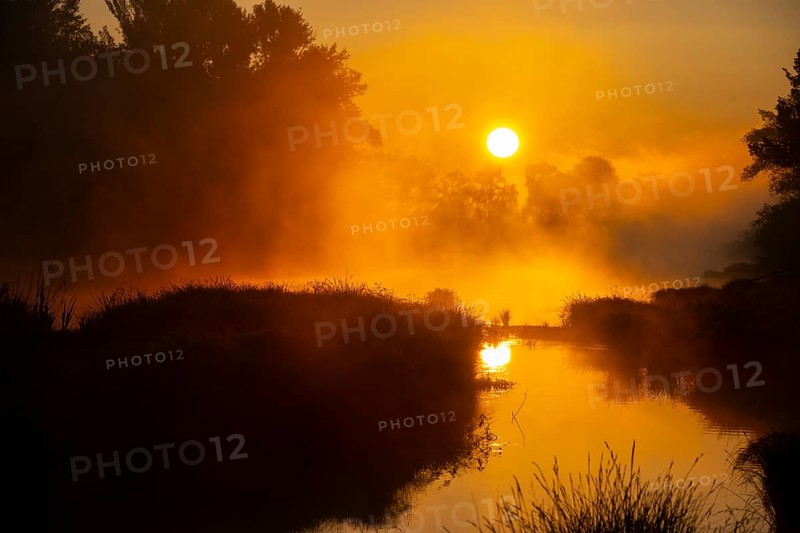 Morning atmosphere, fog, sunlight, backlight, water, Lower Austria