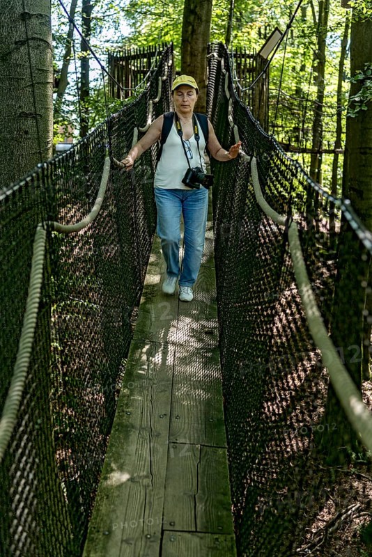 Sporty woman, tourist with camera in treetop path, suspension bridges, ropes, nets, beech forest, excursion, summit mountain Hoherodskopf, Tertiary volcano, Schotten, Vogelsberg Volcanic Region nature park Park, Hesse, Germany, Europe