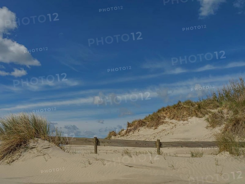 Sand dunes on the beach under a clear blue sky with scattered clouds and tufts of grass, beach and dunes with grass and a bench by the sea, nes, ameland, the netherlands