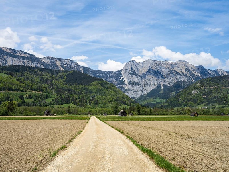 Field path leads through farmland, mountain range behind, near Woerschach, Ennstal, Styria, Austria, Europe