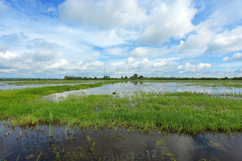 Clouds over the wet meadows in the Ochsenmoor at Lake Duemmer, spring, distance, Huede, Lower Saxony, Germany, Europe