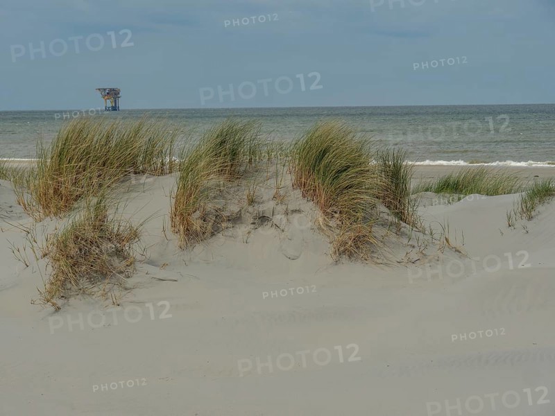Calm sea with a structure in the water, seen from behind sand dunes with reeds, dunes by the sea with clouds in the blue sky, nes, ameland, the netherlands