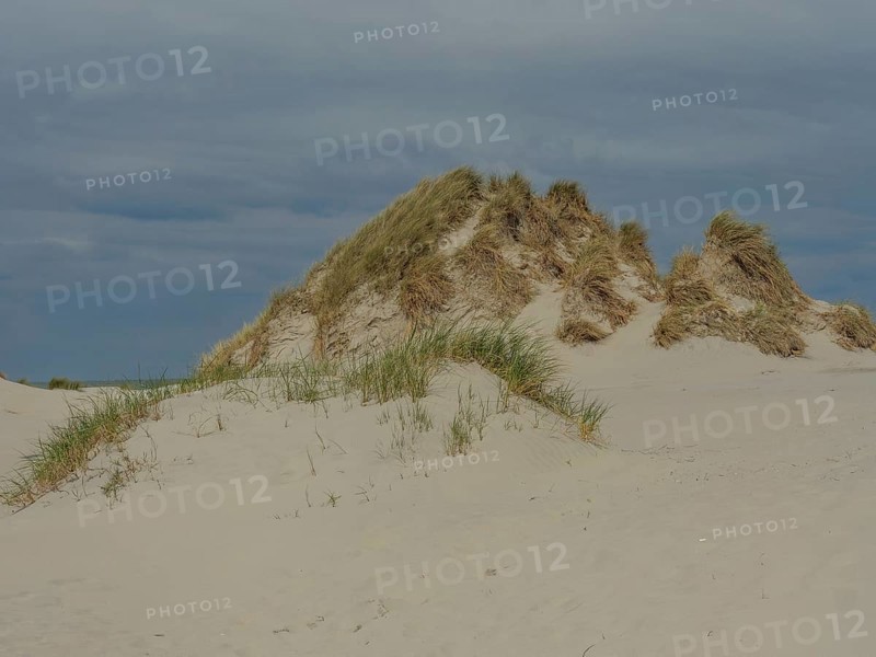 Hilly sand dunes with grass under a cloudy sky, secluded and quiet, dunes on an island with a blue boat and a bench, clouds and sand by the sea, nees, ameland, the netherlands