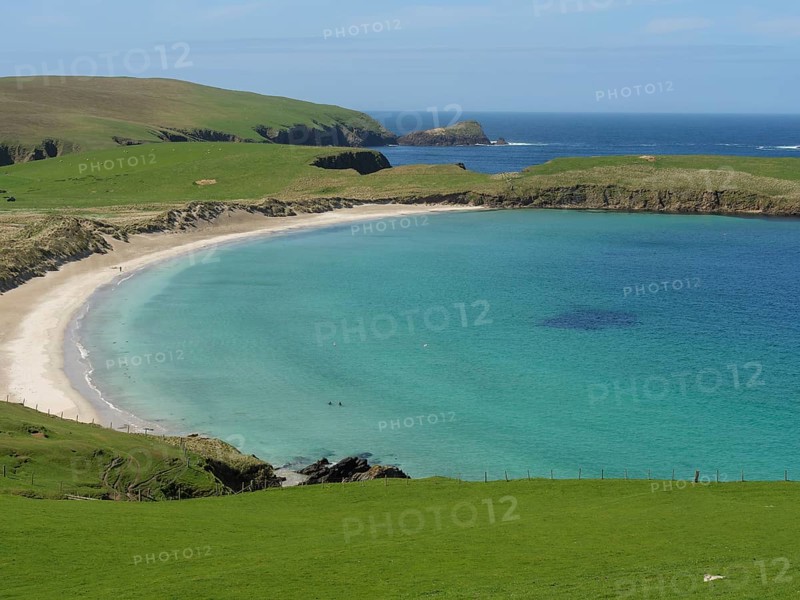 A scenic panorama with a wide, peaceful sandy beach surrounded by green meadows and turquoise blue sea under a clear blue sky, golden beach with green meadows on a deep blue sea with blue sky, lerwick, shetland, Scotland, United Kingdom, Europe