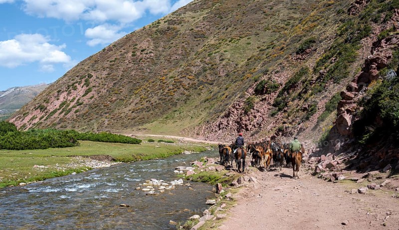 Shepherds on horses driving herd of horses along a track by a mountain stream, mountain landscape in Karkyra valley, Karkyra river, Kyrgyzstan, Asia