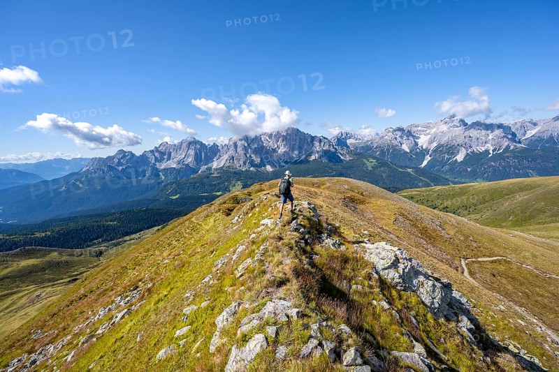 Mountaineers on a hiking trail between green mountain meadows on a mountain ridge, mountain panorama, view of rocky mountain peaks of the Sesto Dolomites, Carnic Main Ridge, Carnic High Trail, Carnic Alps, Carinthia, Austria, Europe