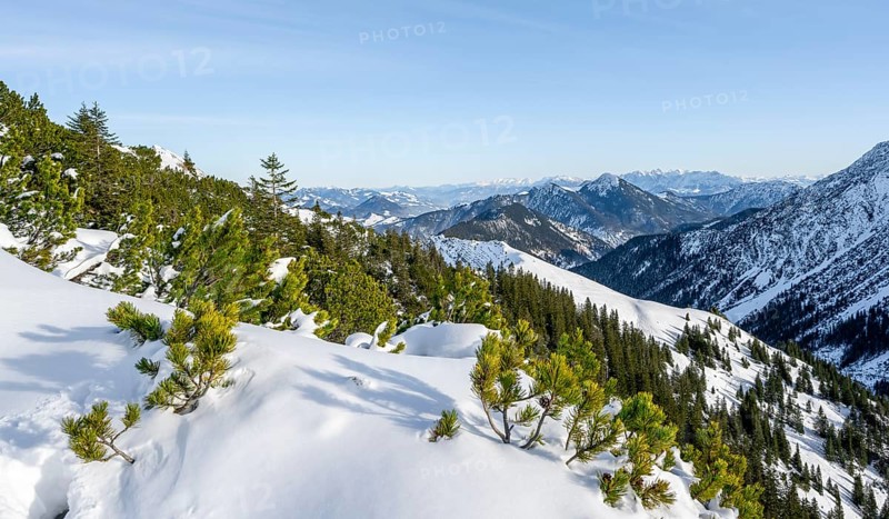 View from the summit of the Aiplspitz in winter, snow-covered mountain landscape with mountain pines, ski tour to the Aiplspitz, Mangfall mountains, Bavarian Prealps, Bavaria, Tyrol