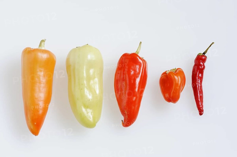 Paprika (Capsicum annuum) and chilli (Capsicum frutescens) on a white background, pepper, pepper, chilli pepper, chilli pepper