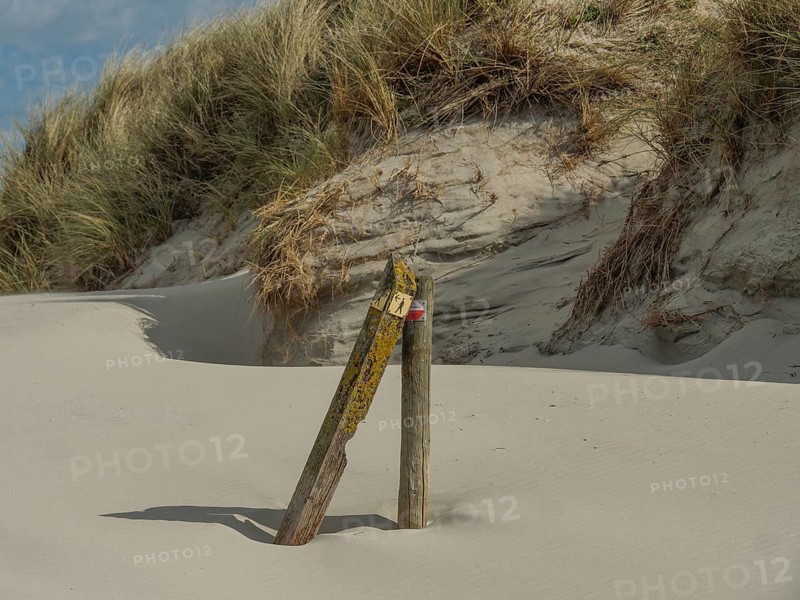 Wooden post in a sand dune with grasses, under a clear sky with few clouds, dune and beach by the sea with footpaths, grass and lots of sand, nes ameland, the netherlands