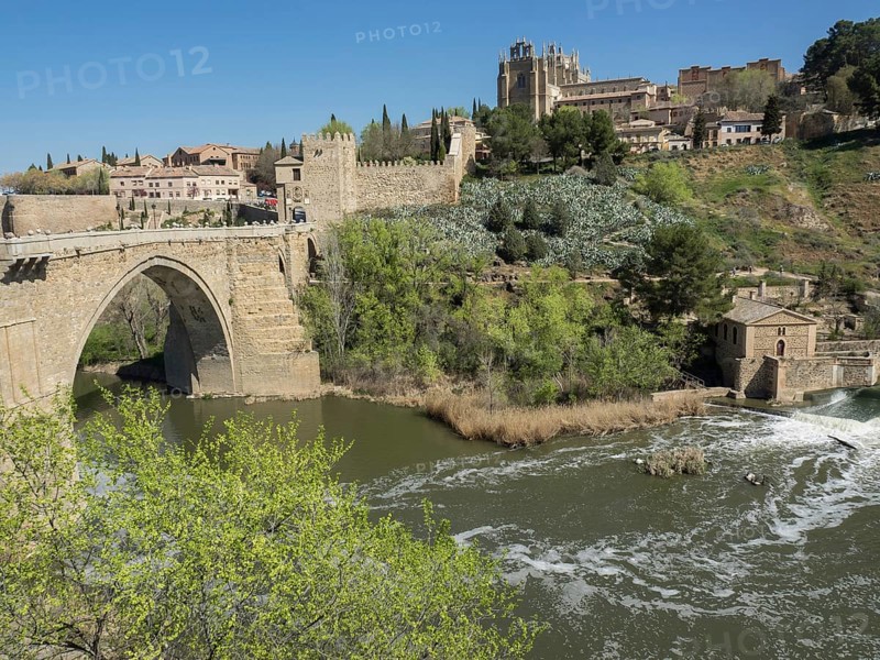 River with historic stone bridge and green vegetation in the background on a clear sunny day, historic stone bridge with an old tower and an old town in the background over a wild river, Toledo, Spain, Europe