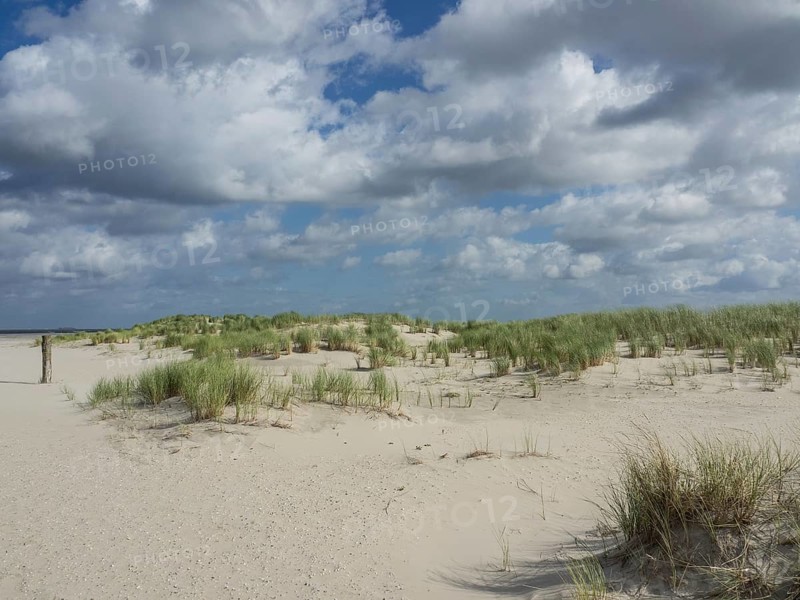 Extensive dune landscape on the beach under a partly cloudy sky, lonely beach with dune grass in the neighbouring dunes and marker posts, clouds playing in the sky, Spiekeroog, Germany, Europe