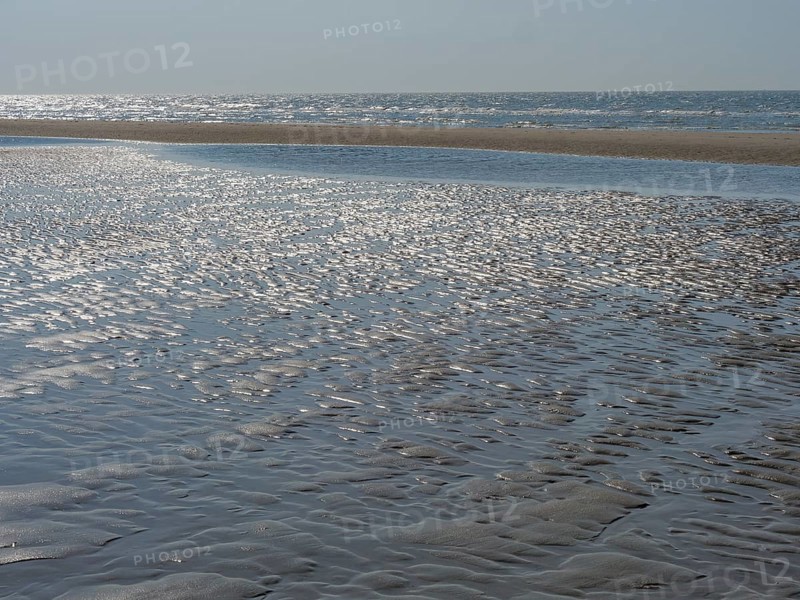 Extensive beach with textured sand surface and sparkling water, sparkling sea water at low tide on the beach, de haan, belgium