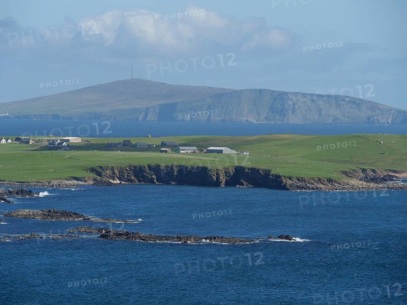 Green fields stretch to the jagged cliffs in front of the deep blue sea and a distant island, green meadows by a deep blue sea and a rocky coastline with individual houses, lerwick, shetland, Scotland, United Kingdom, Europe