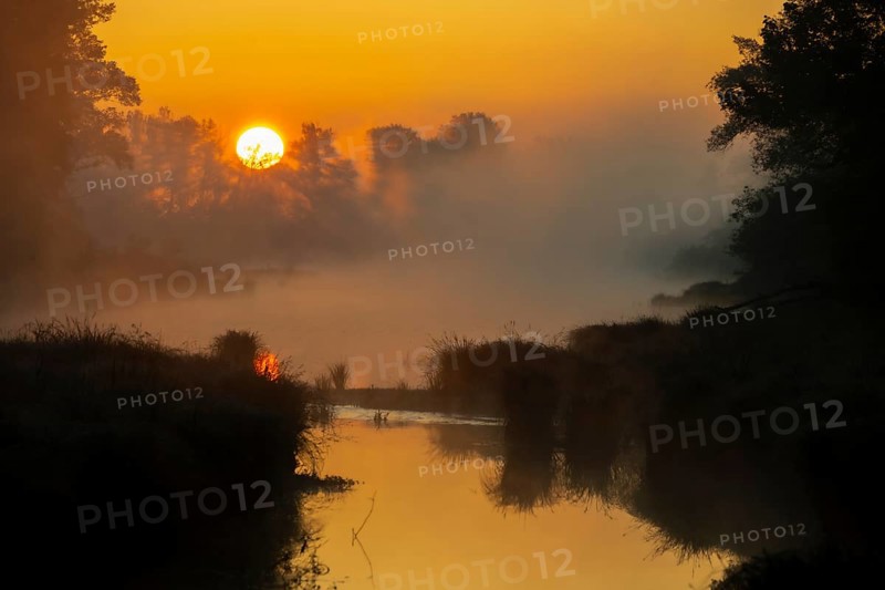 Morning atmosphere, fog, sunlight, backlight, water, Lower Austria