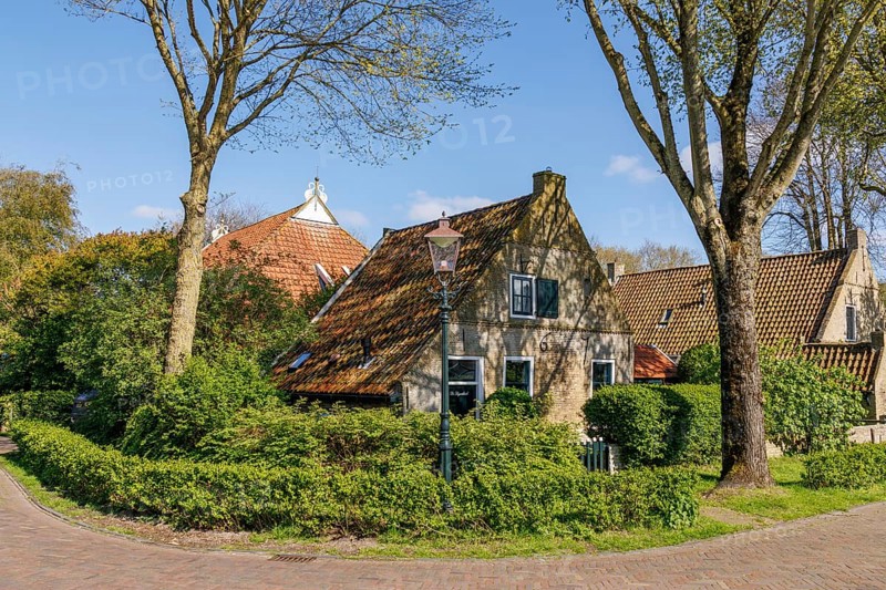 A peaceful village with houses surrounded by lush treetops and green hedges, historic houses in a small village with small streets and trees in spring, Nes, Ameland, Netherlands