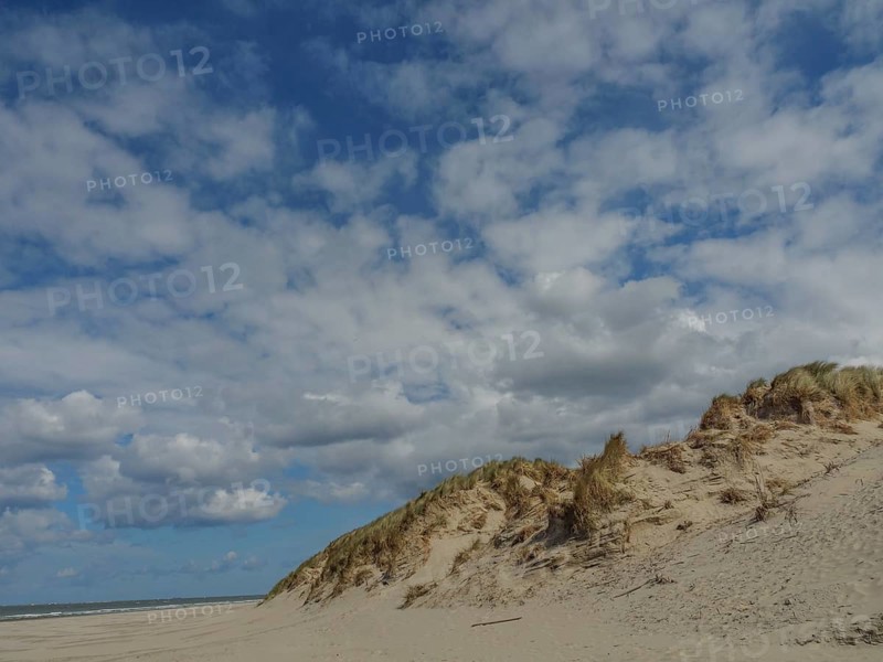 Sand dunes under a clear blue sky with scattered clouds on a sunny day, beach and dunes with grass and a bench by the sea, nes, ameland, the netherlands