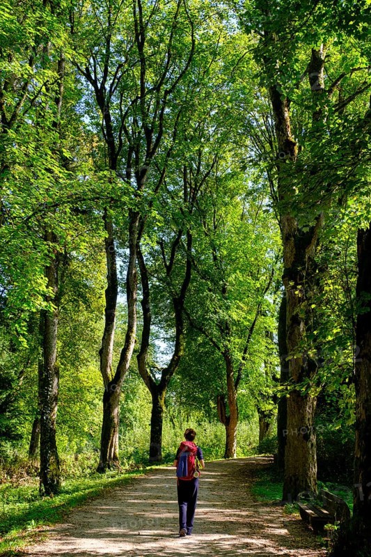 Hiker Danube-Zollernalbweg, Inzigkofen Princely Park near Sigmaringen, Upper Danube Valley, Baden-Wuerttemberg, Germany, Europe
