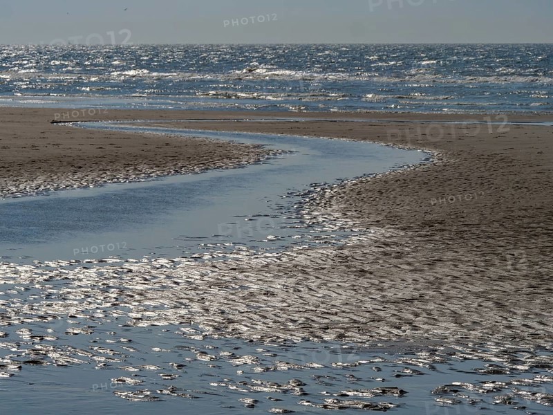 Beach with a gently curving watercourse in the sand and blue sea in the background, glittering sea water at low tide on the beach, de haan, belgium