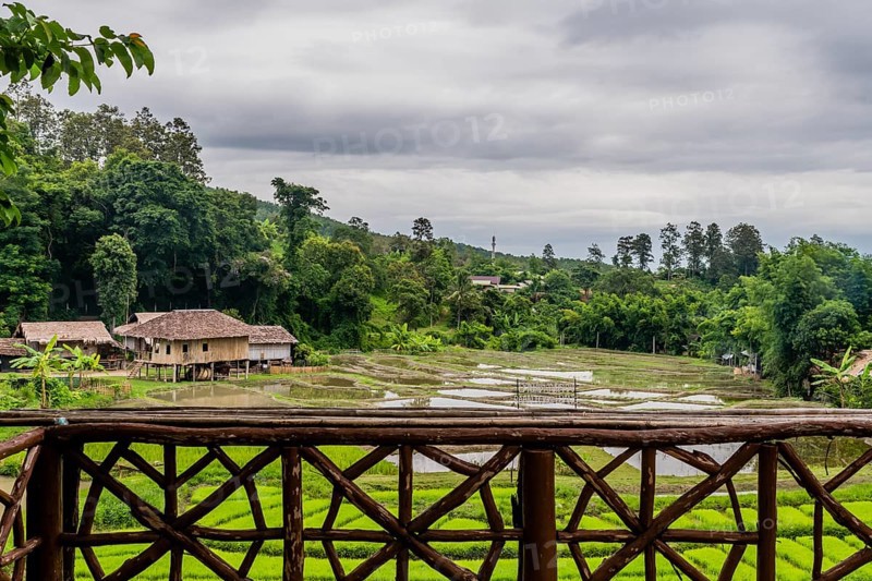 Landscape of rice paddies and buildings located at Chiang Doa Five Hill Tribes Village in Thailand