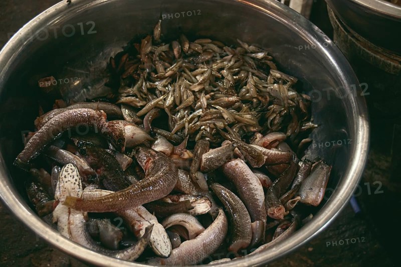 A metal bowl filled with fresh raw seafood in the local traditional Samaki wet market in Kampot Cambodia, authentic candid moment of khmer daily life and culture
