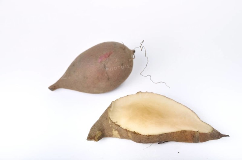 Yacon roots on a white background