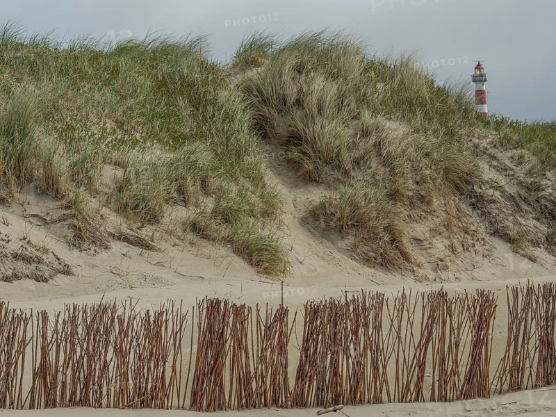 Landscape view of sandy dunes with grass by the sea and a lighthouse in the background, beach and dunes with grass and a bench by the sea, nes, ameland, the netherlands