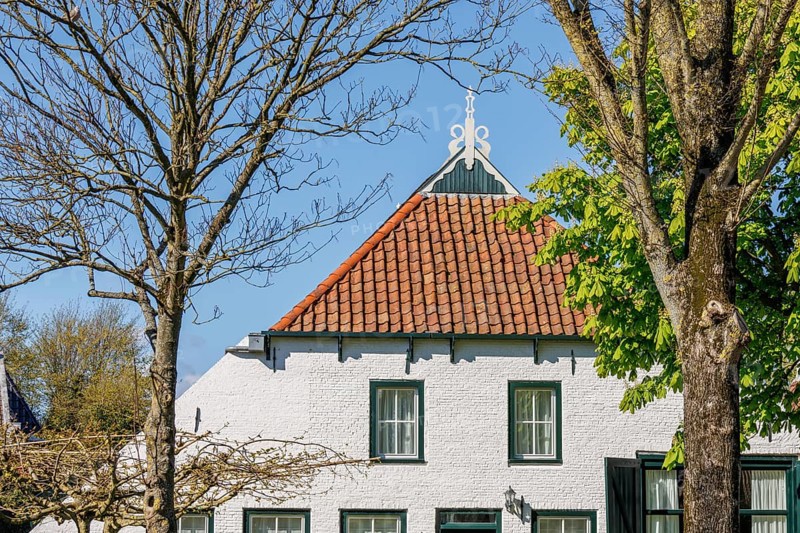 Historic house with tiled roof, surrounded by trees under the blue spring sky, historic houses in a small village with small streets and trees in spring, Nes, Ameland, Netherlands