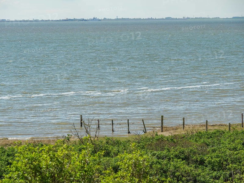 Coastline with green vegetation and sea with gentle waves under a sky, dune and hiking trails at the wadden sea, clouds in the sky, nes, ameland, the netherlands