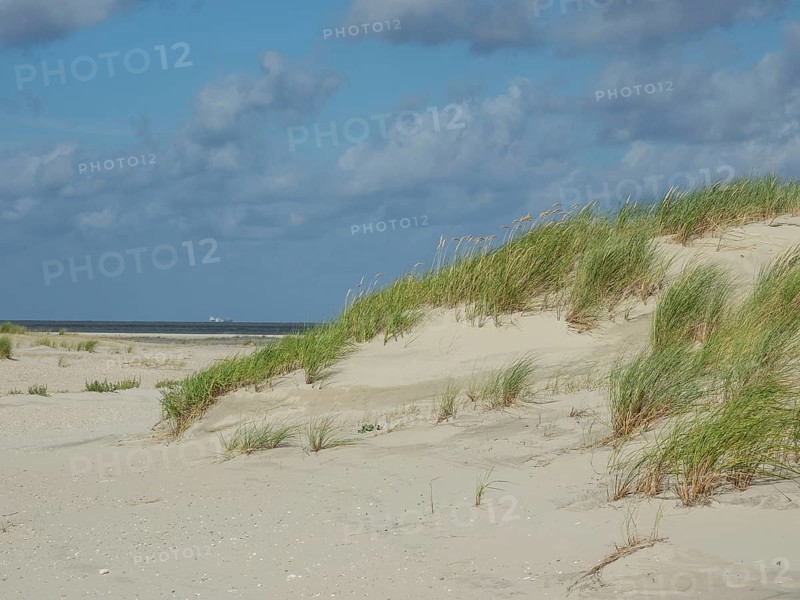 Sand dunes with tufts of grass and a view of the distant sea under a cloudy sky, lonely beach with dune grass in the neighbouring dune and marker posts, clouds play in the sky, Spiekeroog, Germany, Europe