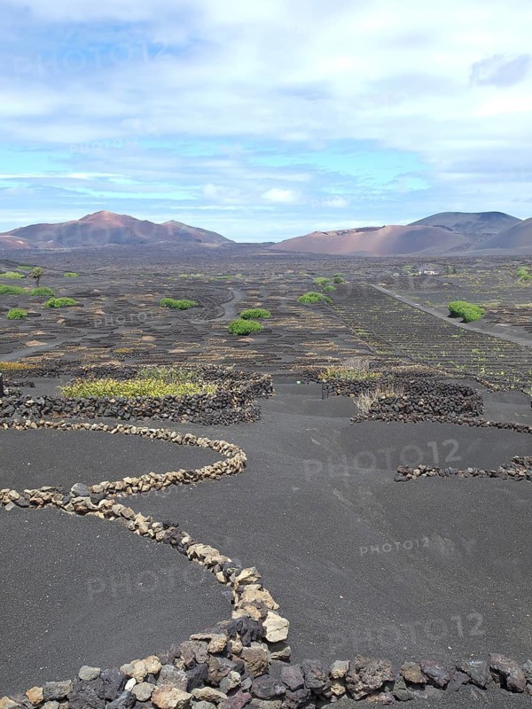 Agriculture arrangement on black earth under a somewhat cloudy sky, barren landscape with roads, craters and small bushes, Lanzarote, spain