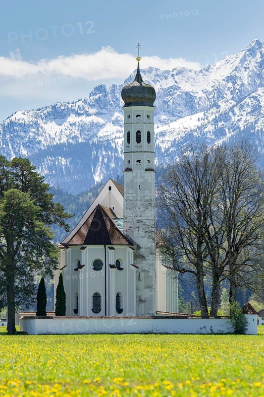 Pilgrimage church of St Coloman in spring, dandelion meadow, Schwangau, Fuessen, Ostallgaeu, Allgaeu, Swabia, Bavaria, Germany, Europe
