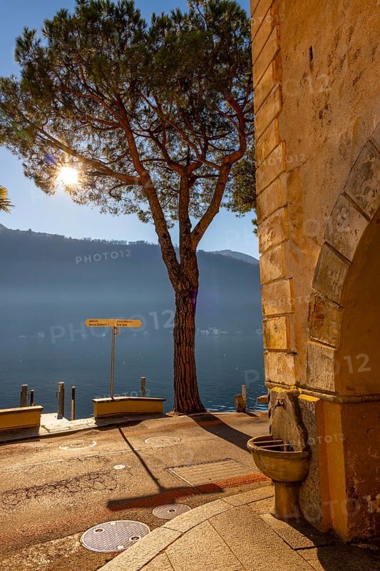 Old Beautiful Town with Building and Tree on the Waterfront on Lake Lugano with Sunbeam in a Sunny Day with Mountain in Morcote, Ticino, Switzerland, Europe