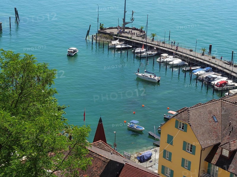 View of a harbour with boats at the pier, behind it houses and a calm blue lake, old buildings with many trees at a big lake, meersburg, germany