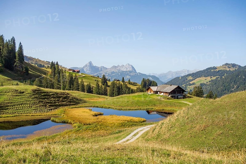 Alpine idyll with hut and ponds in a landscape surrounded by mountains under a clear sky, mountain lake with green meadows and a hut in the mountains, saas fee, switzerland