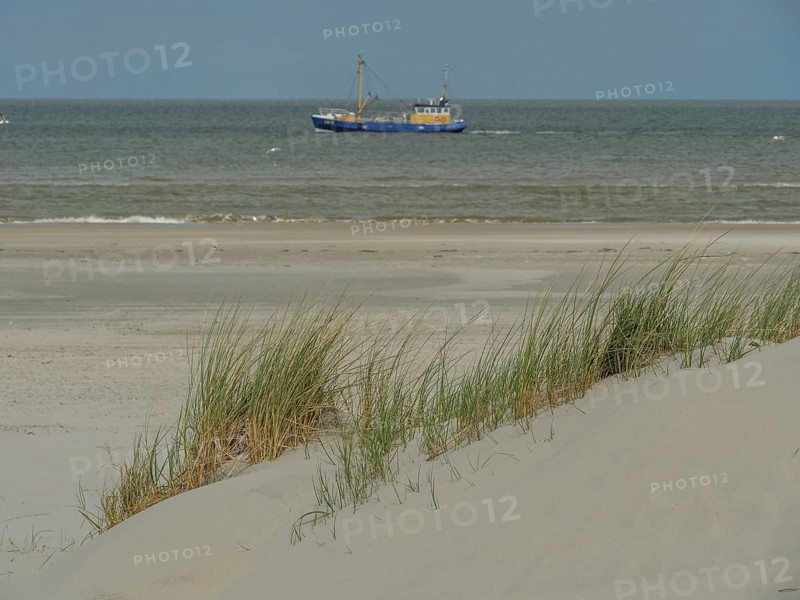 Blue boat in calm sea behind sand dunes with reeds, dunes by the sea with clouds in blue sky, nes, ameland, netherlands