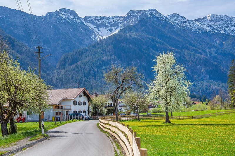 Village street and spring meadow with blossoming trees in front of Hohe Kisten 1922m in the Estergebirge, Eschenlohe, Loisachtal, Das Blaue Land, Upper Bavaria, Bavaria, Germany, Europe