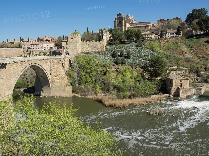 Historic stone bridge with green vegetation over a river and buildings in the background under a blue sky, historic stone bridge with an old tower and an old town in the background over a wild river, Toledo, Spain, Europe