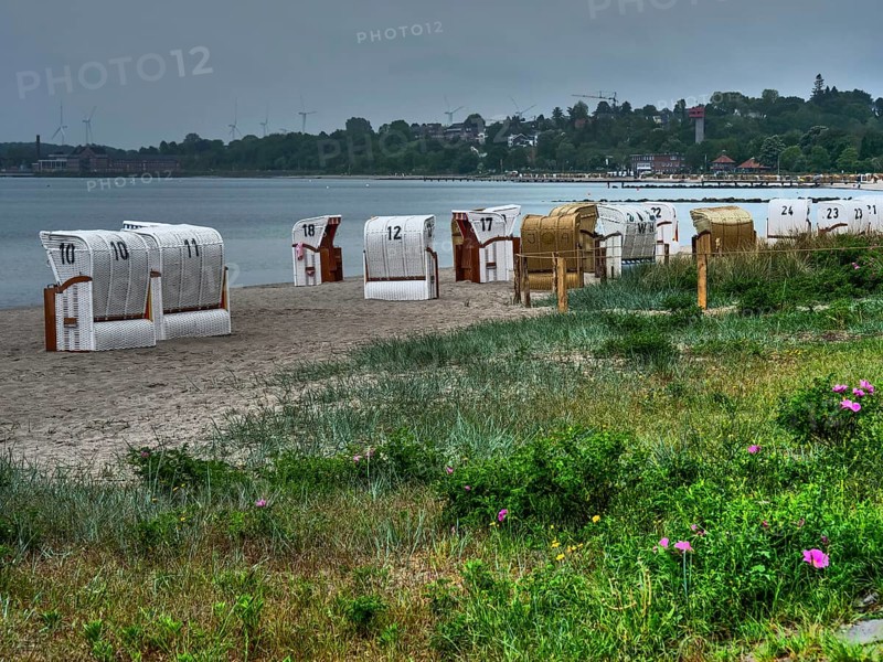 Several beach chairs on a sandy beach line the coast. Cloudy sky and lush vegetation in the foreground, beach chairs on a quiet sandy beach by the sea, clouds over the sea, Eckernfoerde, germany