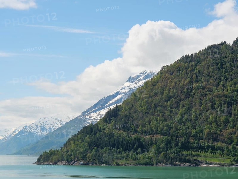 Green mountain slopes with snow-covered peaks and a lake under a slightly cloudy sky, greenish shimmering water in a fjord with snow-covered mountains and green trees, eidfjord, Norway, Europe