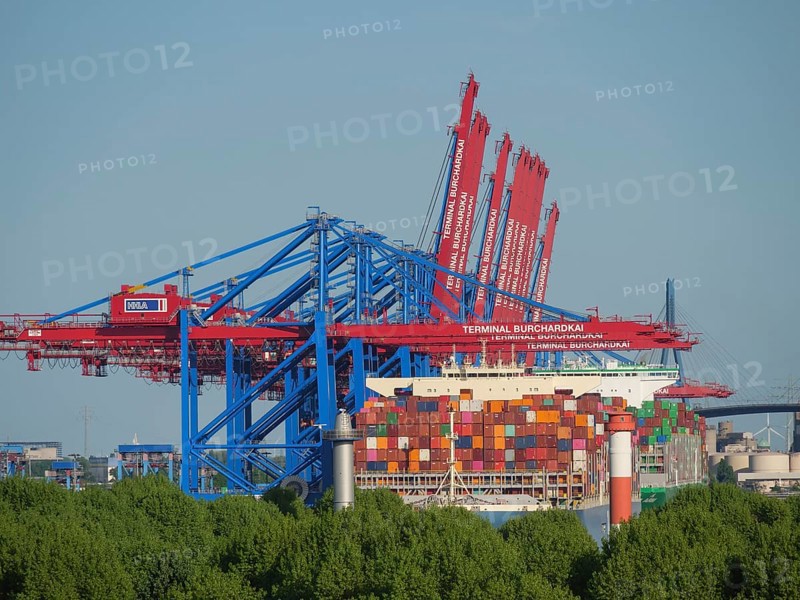 Container port with large coloured containers and cranes as well as trees in the foreground, cranes and ships in a port, Hamburg, Germany, Europe
