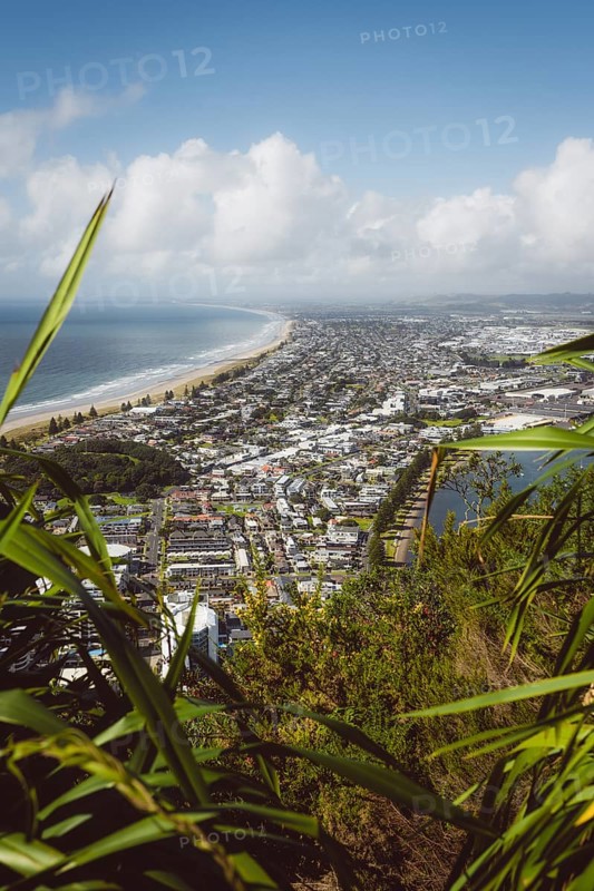 View from the viewpoint of Mount Manganui with a view of the sea and the city. Taken in Tauranga, New Zealand, Oceania
