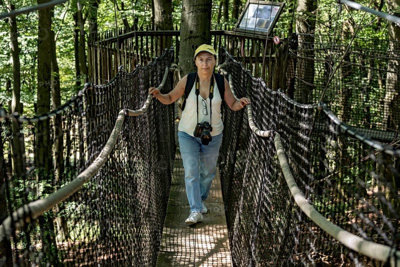 Sporty woman, tourist with camera in treetop path, suspension bridges, ropes, nets, beech forest, excursion, summit mountain Hoherodskopf, Tertiary volcano, Schotten, Vogelsberg Volcanic Region nature park Park, Hesse, Germany, Europe