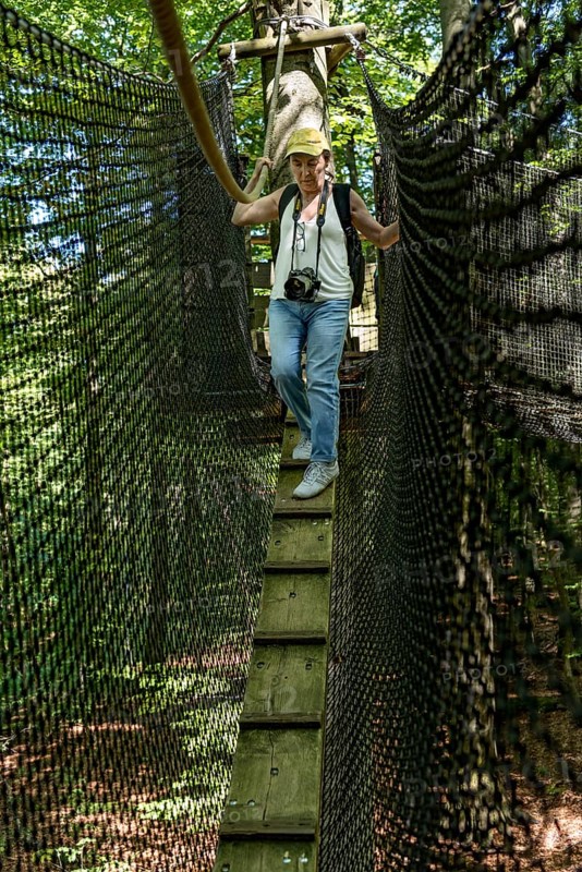 Sporty woman, tourist with camera in treetop path, suspension bridges, chicken ladder, ropes, nets, beech forest, excursion, summit mountain Hoherodskopf, Tertiary volcano, Schotten, Vogelsberg Volcanic Region nature park Park, Hesse, Germany, Europe