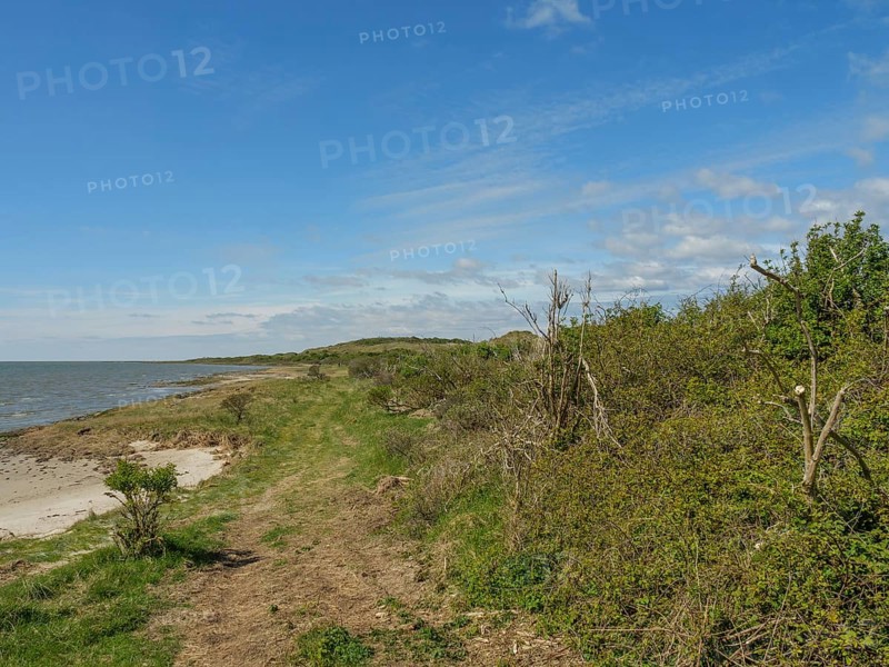 A coastal path leads through green vegetation along the sea, dunes and footpaths on the Wadden Sea, clouds in the sky, nes, ameland, the netherlands