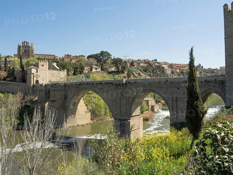 Historic stone bridge with arches over a river, surrounded by a cityscape and vegetation, sunny weather, historic stone bridge with an old tower and an old town in the background over a wild river, Toledo, Spain, Europe