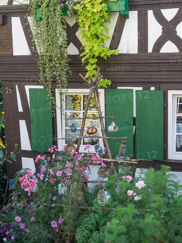 Half-timbered house with green shutters and pink flowers, decorated with cans and ivy, old half-timbered houses with flower decorations in summertime, Freudenstadt, germany